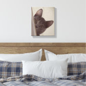 "Chat sournois" Imprimer sur toile étirée (Insitu(Chambre))