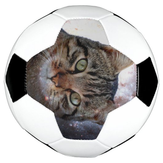 Chat spatial (Tourné)