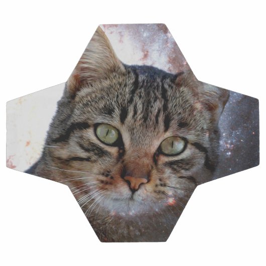 Chat spatial (Plat)