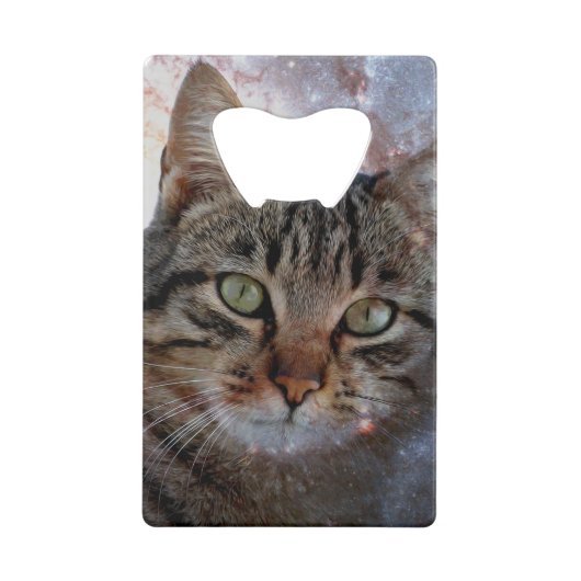 Chat spatial (Dos)