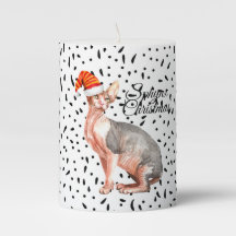 chat sphynx de Noël