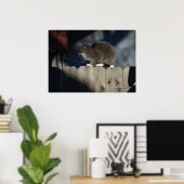 Chat sur clôture (19) Poster (Bureau à domicile)