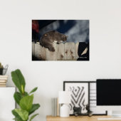 Chat sur clôture (2) Poster (Bureau à domicile)