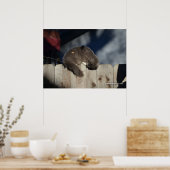 Chat sur clôture (3) Poster (Cuisine)