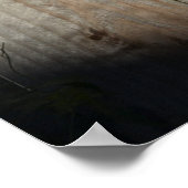 Chat sur clôture (9) Poster (Coin)