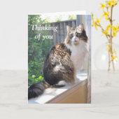 Chat sur la carte de rebord de fenêtre (Fleur jaune)