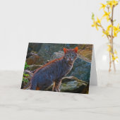 Chat sur la carte de sondage (Fleur jaune)