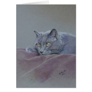 Chat sur la couverture, détendant juste,