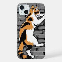 Chat sur le mur
