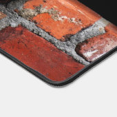 Chat sur mur de brique (Coin)