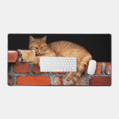 Chat sur mur de brique (Clavier et souris)