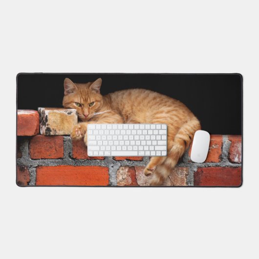 Chat sur mur de brique (Clavier et souris)
