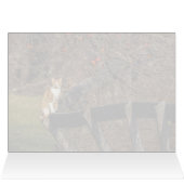 Chat Sur Une Clôture (Intérieur Horizontal (Haut))