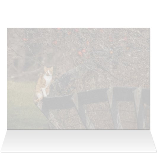 Chat Sur Une Clôture (Intérieur Horizontal (Haut))