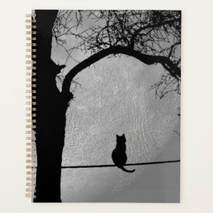 Chat sur une Pleine lune de fil