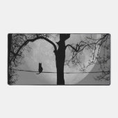 Chat sur une Pleine lune de fil (Recto)