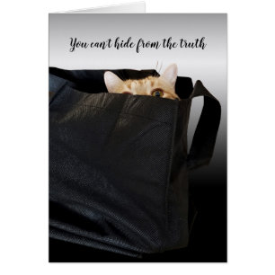 chat tabby dans un sac noir