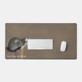 Chat Tabby Gris Fumé (Clavier et souris)