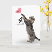 chat tabby joueur pour la carte de 4ème anniversai (Fleur jaune)