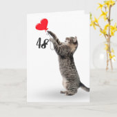 chat tabby ludique pour la carte de 48ème annivers (Fleur jaune)