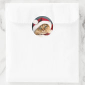 Chat Tabby Saint-Nicolas Autocollant Rond Classiqu (Sac)