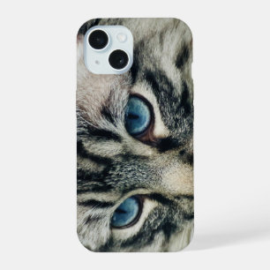 Chat Tigre aux Yeux Bleus en Gros Plan