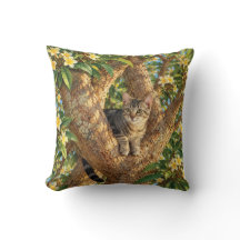Chat Tigre dans un Coussin de Jeté Fleurs de Plume