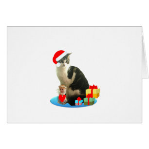 chat tigré de Noël et joli petit ange