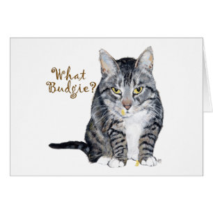 Chat Tigre demande : Quel Perruche ?