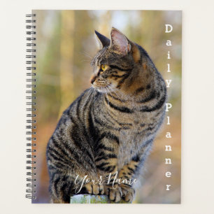 Chat tigré gris - Planificateur quotidien- HAMbWG
