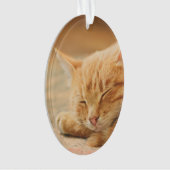 Chat tigré orange de sommeil (devant)