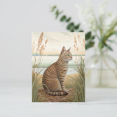 Chat tigré sur la plage - Carte postale (Debout devant)