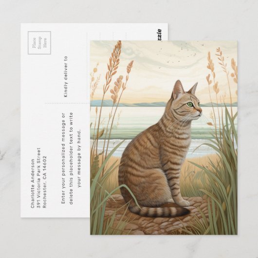 Chat tigré sur la plage - Carte postale (Devant / Derrière)