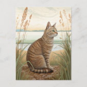 Chat tigré sur la plage - Carte postale (Devant)