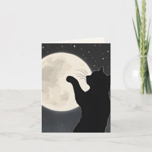 Chat touchant la Lune