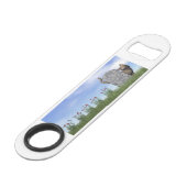 Chat triste près de pierre tombale (Devant angulaire)