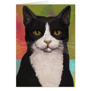 Chat Tuxedo Coloré