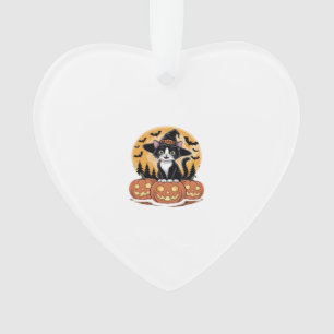 Chat Tuxedo Halloween Sorcière Citrouilles Mignonn