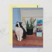 Chat Tuxedo Mignon avec Jolies Fleurs Bleu Carte P (Devant / Derrière)