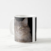Chat velu gris sur la tasse de café (Devant gauche)