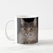 Chat velu gris sur la tasse de café (Gauche)