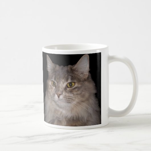 Chat velu gris sur la tasse de café (Droite)