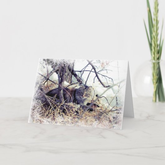 Chat Woodland dans la carte de Noël Neige (Devant)