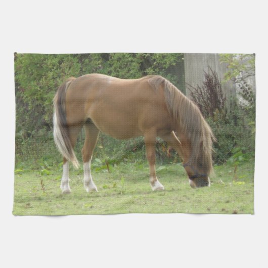 Châtaigner Cheval Brown Pâturage Serviette de cuis (Horizontal)