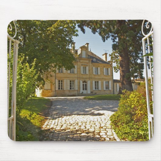 Chateau Cos Labory in Saint-Estephe, droogte Muismat (Voorkant)