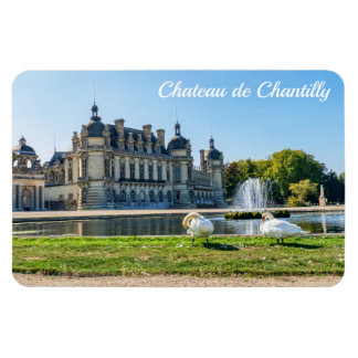 Chateau de Chantilly, fontein en twee zwanen Magneet
