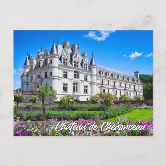 Chateau de Chenonceau, France Briefkaart (Voorkant)