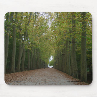 Chateau de Chenonceau Mousepad Muismat