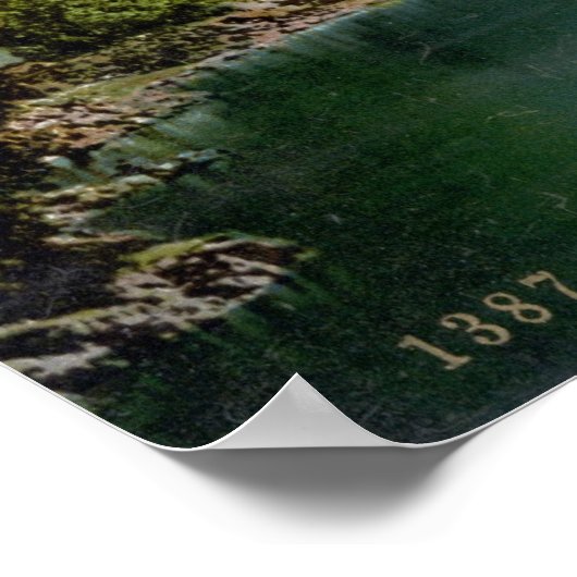 Château de Chillon Poster (Hoek)