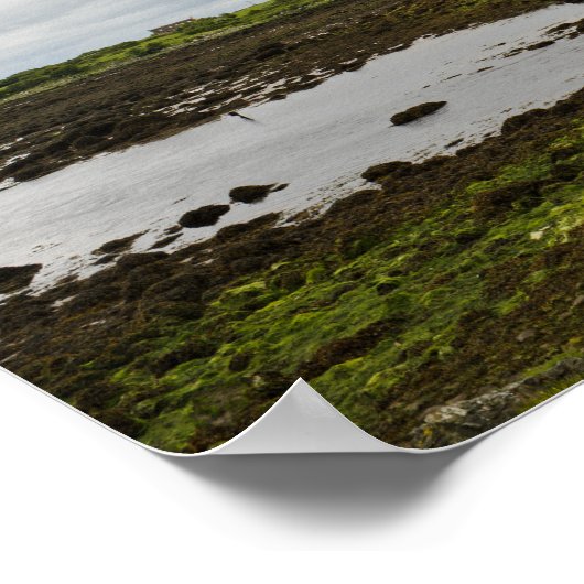 Château de Dunguaire, affiche d'Irlande (Coin)